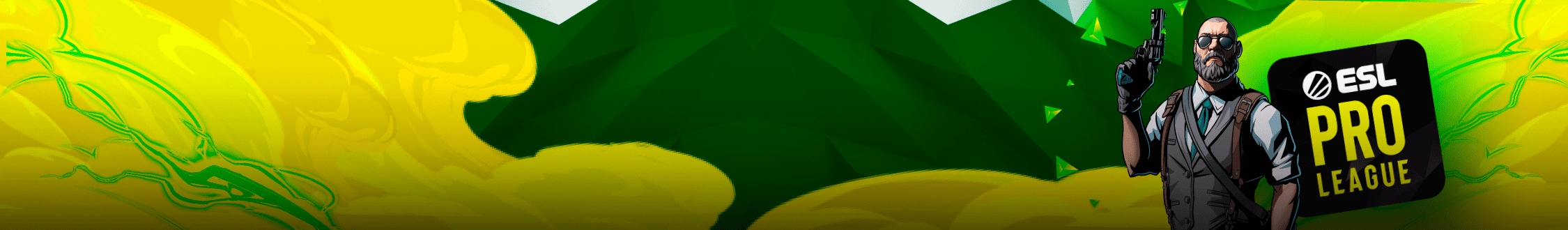 CS 2. ESL Pro League. Winner